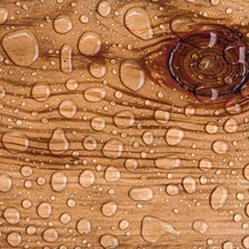 EcoProCote Eco-Poly Wood Floor and Concrete Finish and Sealer, 1 Gallon, Gloss Perspective: back