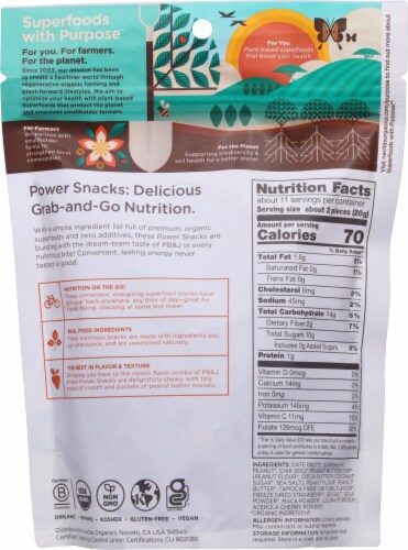 Navitas® Organics Superfood PB & J Power Snacks Perspective: back
