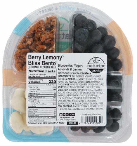 Naturipe Bliss Bento™ Berry Lemony™ Snack Pack Perspective: back