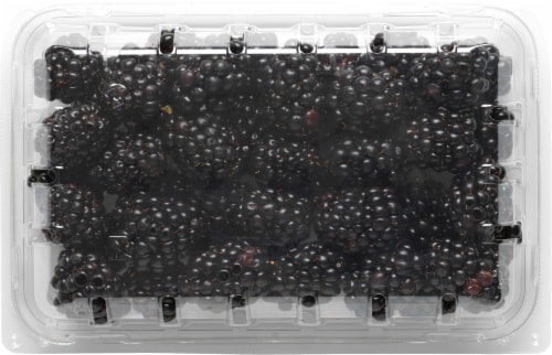 Naturipe® Sweet Selections Blackberries Perspective: back