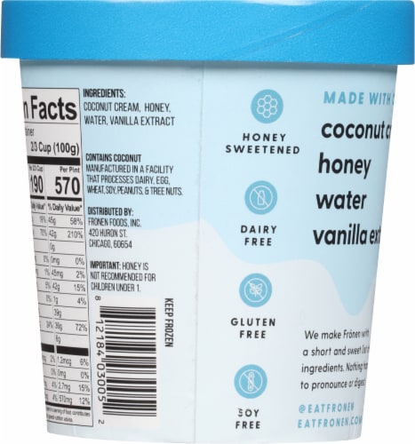 Fronen™ Dairy Free Madagascar Vanilla Frozen Dessert Pint Perspective: back