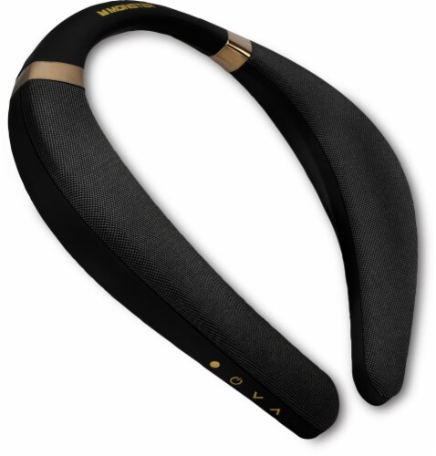 LifeWorks Boomerang Wireless Speaker Perspective: back