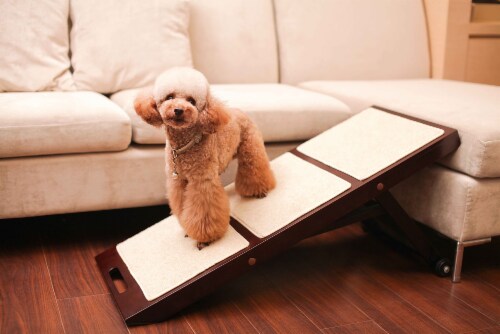 Collapsible deals pet ramp