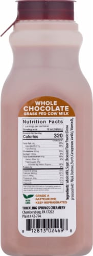South Mountain Creamery Whole Chocolate Milk Perspective: back