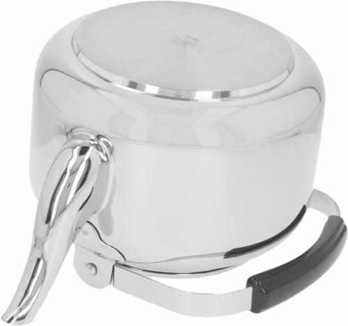 Demeyere Resto 4.2-qt Stainless Steel Tea Kettle Perspective: back