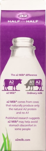 a2 Half and Half Creamer Perspective: back