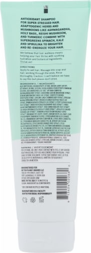 Acure Juice Cleanse Supergreens & Adaptogens Shampoo Perspective: back
