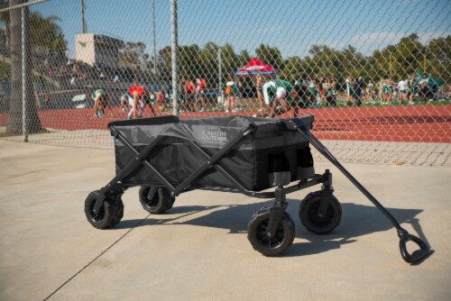 Creative Outdoor Platinum All-Terrain Folding Wagon - Black/Gray Perspective: back