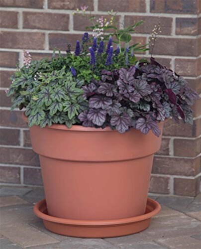 Bloem DC16-45 16 in. Dura Cotta Planter, Chocolate Perspective: back