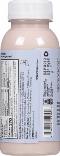 Forager® Project Organic Dairy-Free Blueberry Probiotic Cashewmilk Yogurt Perspective: back