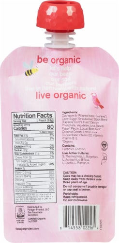 Forager Project® Strawberry Kids Dairy Free Yogurt Perspective: back