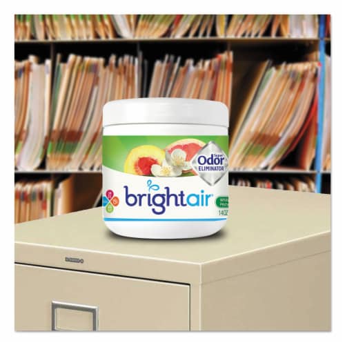 BRIGHT Air® FRESHENER,ODOR,PCH/CIT,WH BRI 900133 Perspective: back