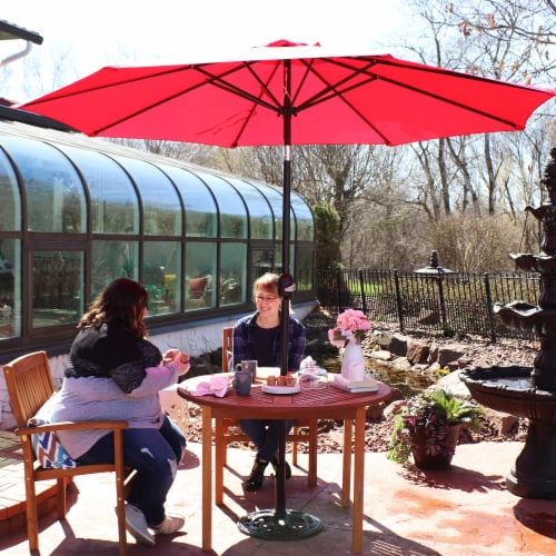 Sunnydaze 9 ft Aluminum Patio Umbrella with Tilt and Crank - Red Perspective: back