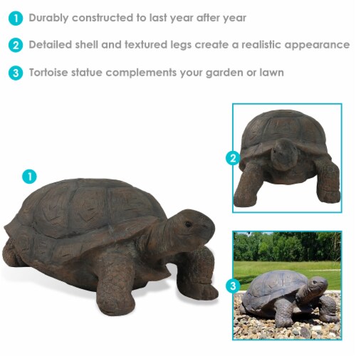 tortoise lawn statue