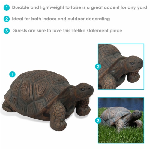 tortoise lawn statue
