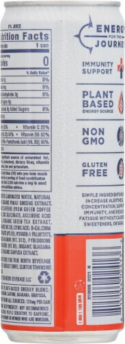 True North™ Grapefruit Lemonade Pure Energy Seltzer Perspective: back