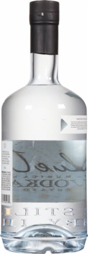 Blue Ice American Vodka Perspective: back