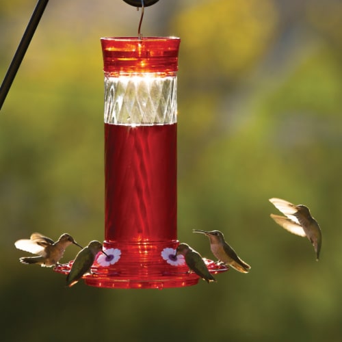More Birds Diamond Hummingbird Feeder - Red Perspective: back