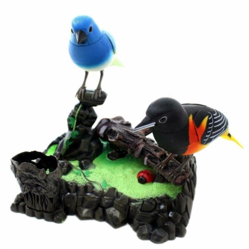 Beautiful Baltimore Orioles Realistic Chirping Birds Sound Motion