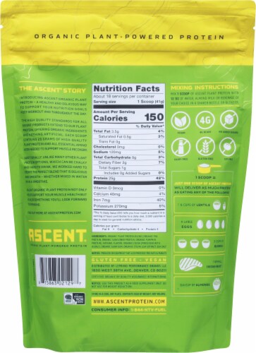 Ascent® Chocolate Plant Protein Powder Blend Perspective: back
