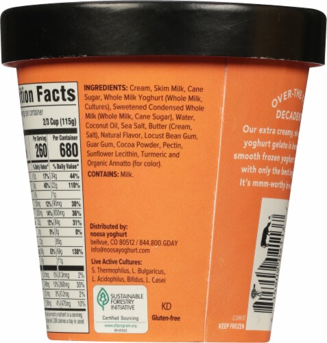 Noosa Sea Salt Caramel Frozen Yogurt Gelato Perspective: back