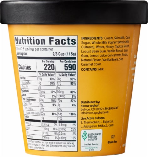 Noosa® Honey Vanilla Frozen Yogurt Gelato Perspective: back