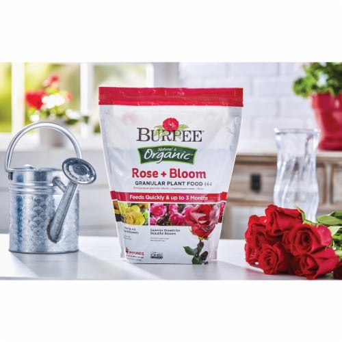 Burpee 4 Lb. 4-6-4 Organic Rose & Bloom Dry Plant Food BP4RB Perspective: back