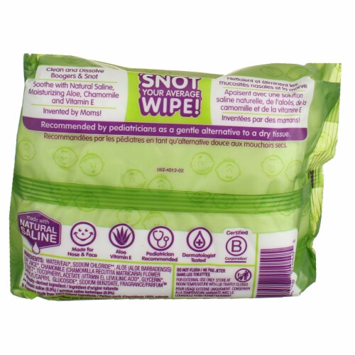 Boogie Wipes® Fresh Scent Gentle Saline Nose Wipes Perspective: back