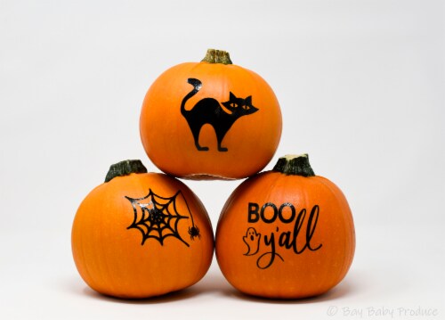 Pumpkin Patch Pals Silhouette Painted Pumpkin Perspective: back