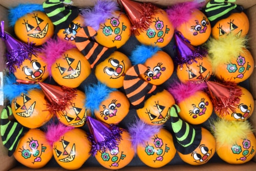 Pumpkin Patch Pals Painted Mini Round Pumpkin - Assorted Perspective: back