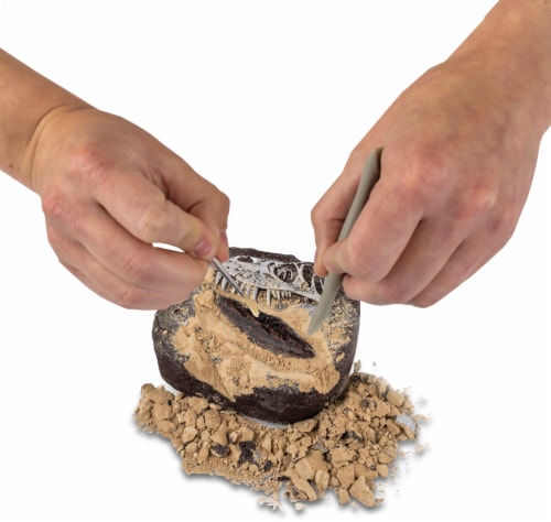National Geographic™ Dino Fossil Dig Kit Perspective: back