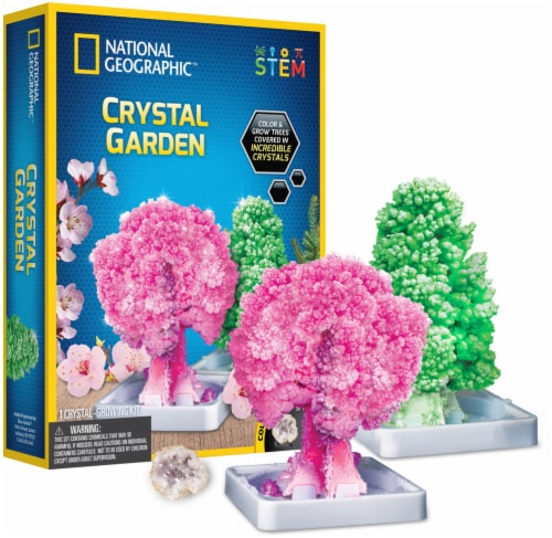 National Geographic Crystal Garden Kit Perspective: back