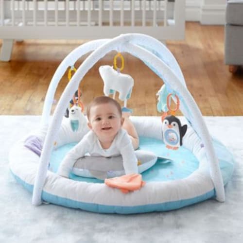 Carter's play gym shop