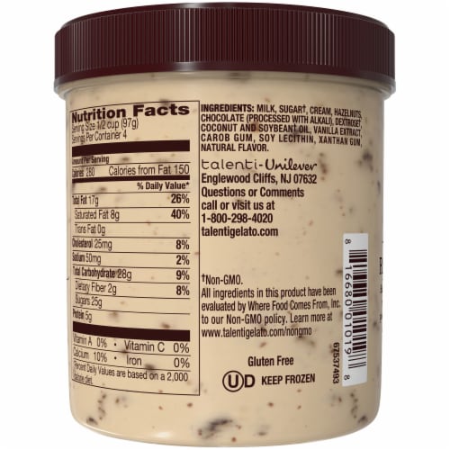 Talenti® Hazelnut Chocolate Chip Gelato Ice Cream Perspective: back