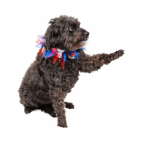 Midlee Medium Patriotic Dots 4th of July Dog Collar 1 King Soopers