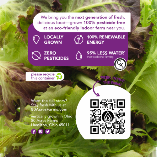 80 Acres Farms Plantopia Salad Blend Perspective: back