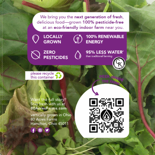 80 Acres Farms® Power Crunch Salad Blend Mix with Lettuce Kale Chard & Microgreens Perspective: back