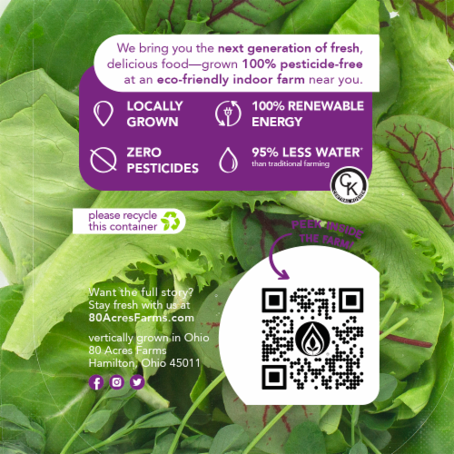 80 Acres Farms® Fresh Squeeze Salad Mix Perspective: back