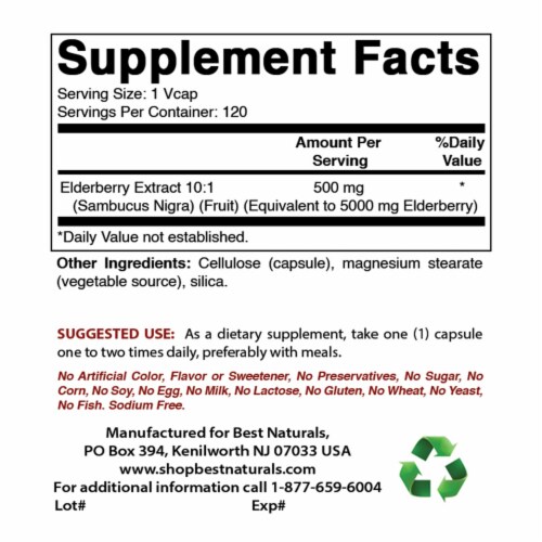 Best Naturals Elderberry Sambucus Nigra 5000mg Equivalent 120 Veg Capsules Perspective: back