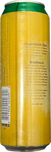 Elysian Brewing Company Dragonstooth Stout Beer Can Perspective: back