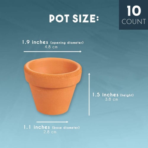 10 Pack Terra Cotta Pots with Drainage Holes for Indoor and Outdoor Plant, 1.5 inches Perspective: back