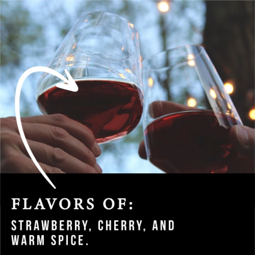 Myles & Moore Winemakers' Collection Pinot Noir California Red Wine Perspective: back