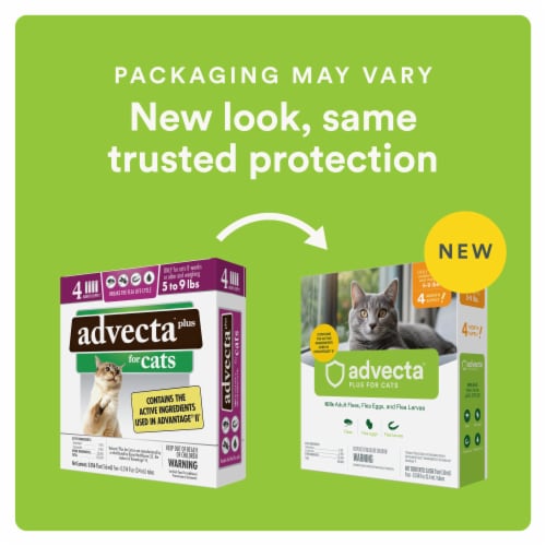 ADVECTA Plus Flea Protection for Small Cats Perspective: back