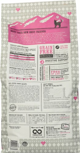 I and Love and You Naked Essentials Salmon + Trout Grain Free Dry Cat Food Perspective: back