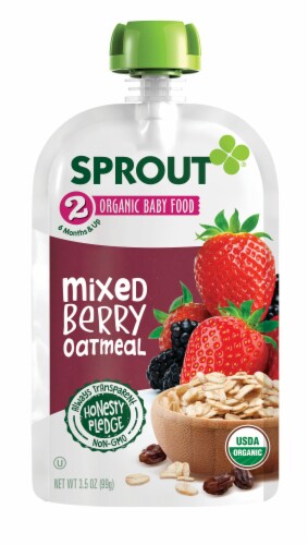 Sprout Organic Mixed Berry Oatmeal Stage 2 Baby Food Perspective: back
