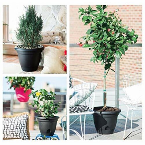 Bloem Lucca 7 in. H X 9 in. D Resin Planter Black