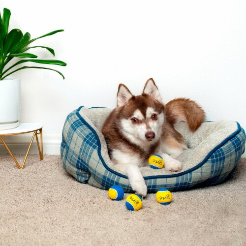 Midlee Mini Dog Tennis Balls - Blue/Yellow- Pack of 4 Perspective: back