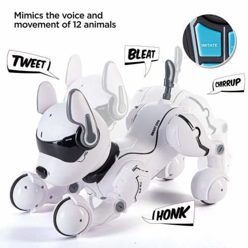 Top Race Remote Control Robot Dog Toy Kids Rc Dog Robot Toys 2 10 Yr 3.5 H 10.9 L 7.8 W Metro Market