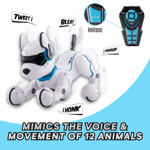 Top Race Remote Control Robot Dog Toy Touch Edition Black 0.96 H 3.19 L 2.13 W Harris Teeter