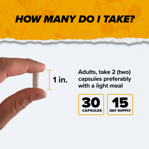 Onnit Alpha Brain Memory and Focus Daily Cognitive Support Dietary Supplement Perspective: back